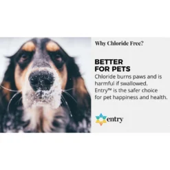 Branch Creek Entry Blended Pet Friendly Liquid Ice Melt 2.5 Gal -Snow Gear Shop 23862581 3cd3 4111 81d4 4502b8597f20