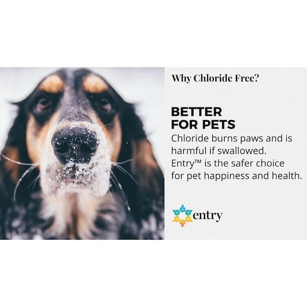 Branch Creek Blended Pet Friendly Liquid Ice Melt 2.5 Gal 2 Branch Creek Blended Pet Friendly Liquid Ice Melt 2.5 Gal - Image 2